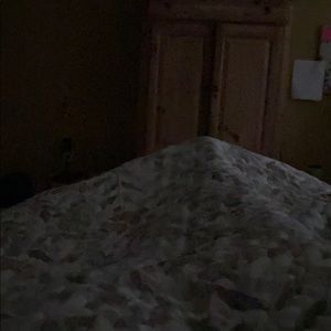 Meet your Posher, Lisa a